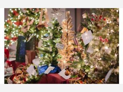 2021 Saratoga Festival of Trees