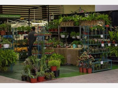 2022 Capital Region Flower & Garden Expo