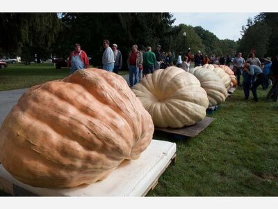 7th Annual Saratoga Giant PumpkinFest