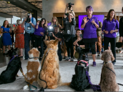 The New Focus for the Westminster Dog Show is on Veterinarians' Welfare