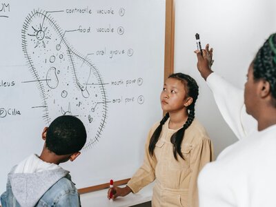 Highest paying jobs in Albany and NYC that require a graduate degree