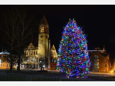 New York State's Holiday Tree Lighting