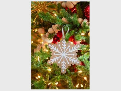 Holiday Stroll at Stuyvesant Plaza